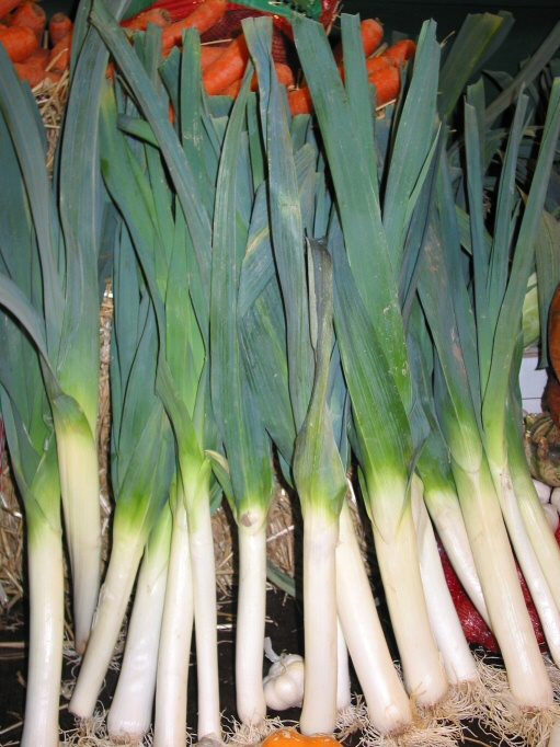 Poireau