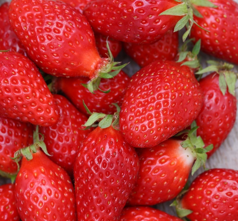 Fraise Clery