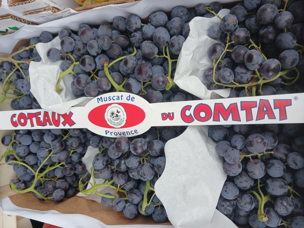 RAISIN MUSCAT DE PROVENCE