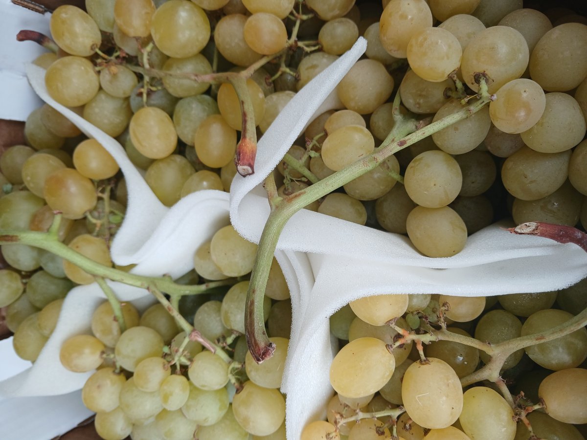 RAISIN ITALIE